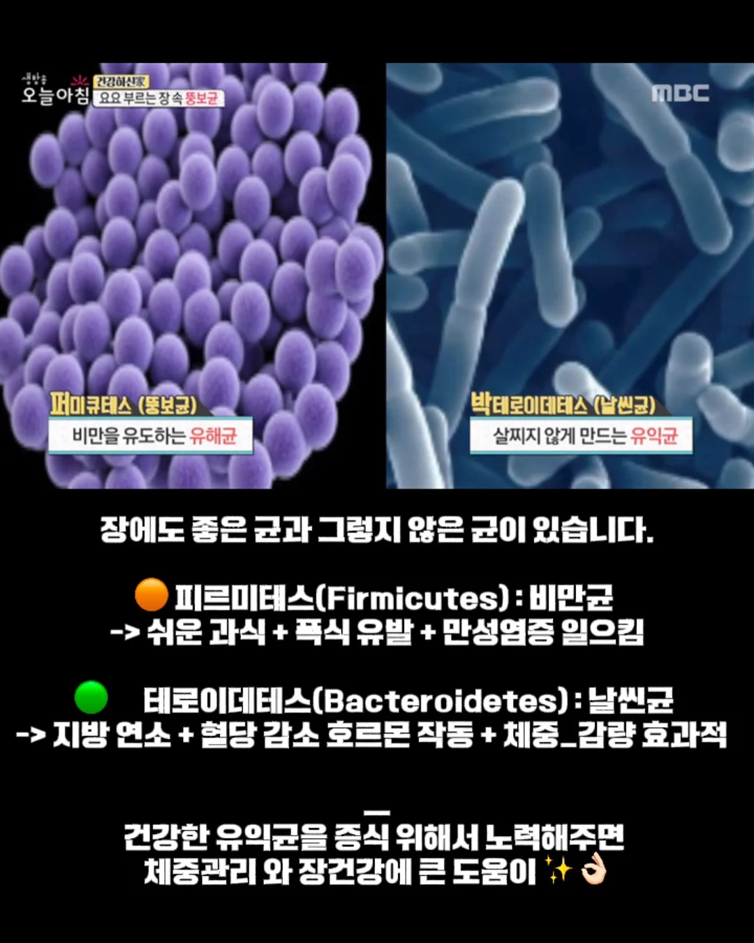키즈풀빌라 3