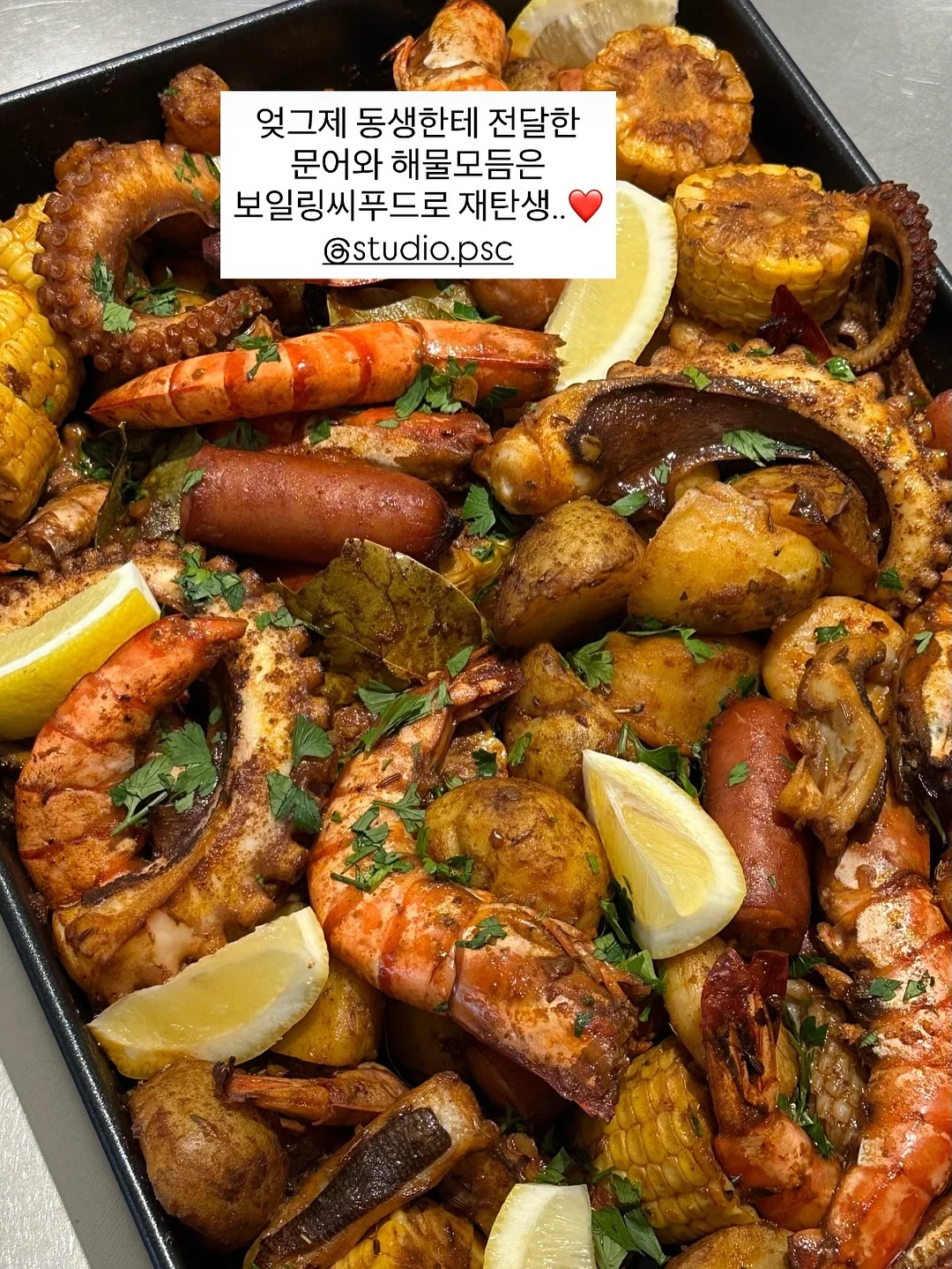 꼬순다방 뉴스레터 구독 4