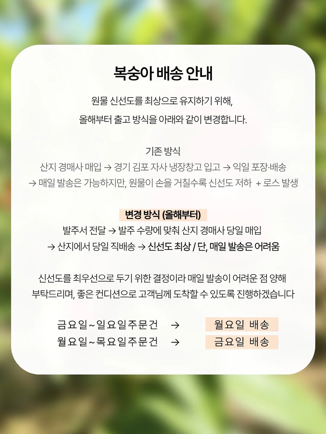 퍼마브랜드 PMU 색소 5