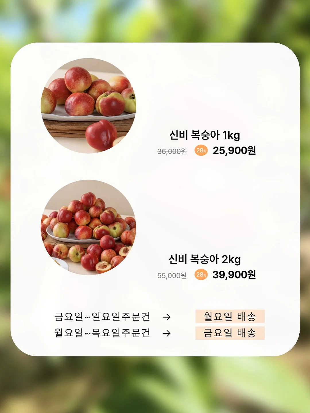 퍼마브랜드 PMU 색소 6