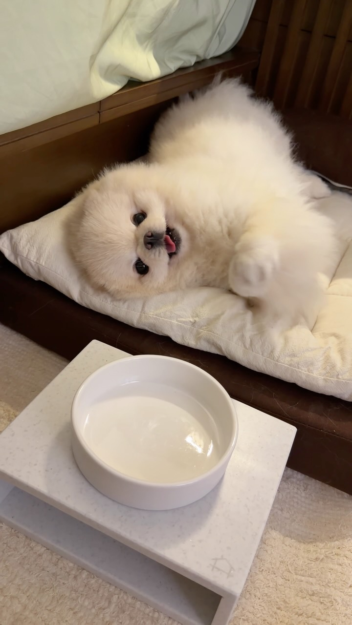 워리스톤