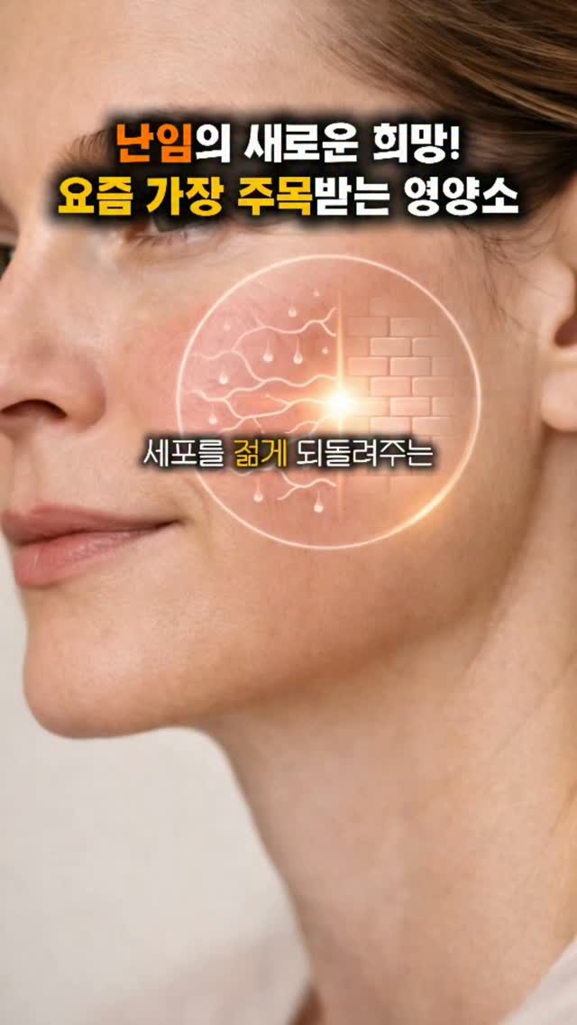 웨딩사진 보정