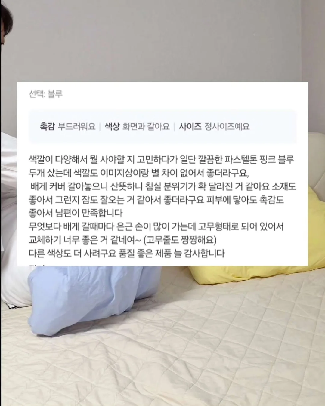 붓으로 바르는 곰팡이 제거제 6
