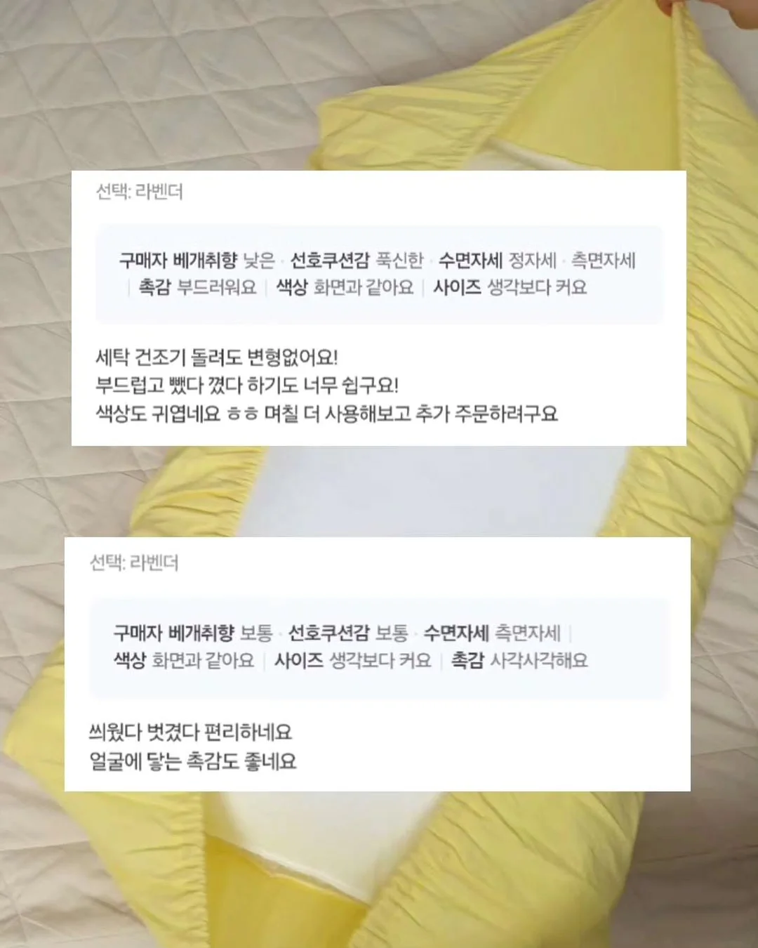 붓으로 바르는 곰팡이 제거제 8