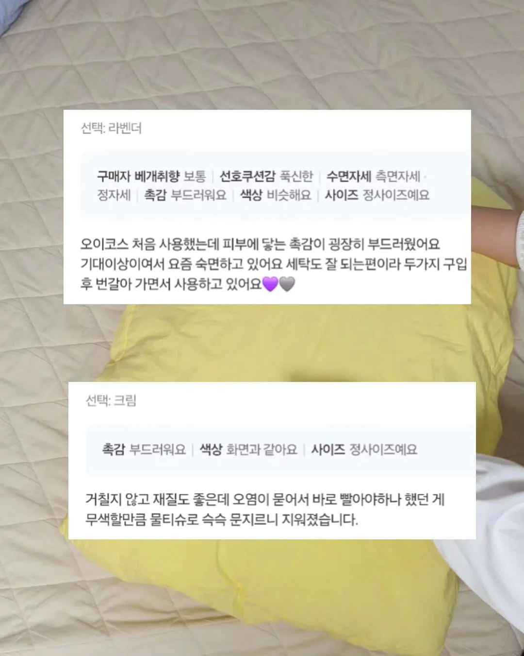 붓으로 바르는 곰팡이 제거제 9
