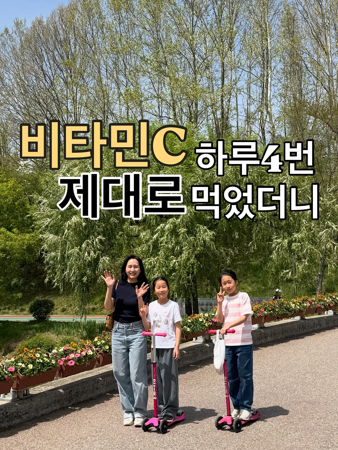 헤라스 곱창김 1