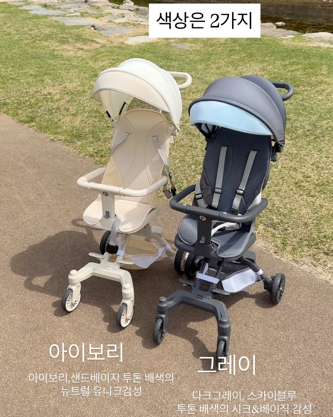 호래기 생멸치 꽁치 구성 5