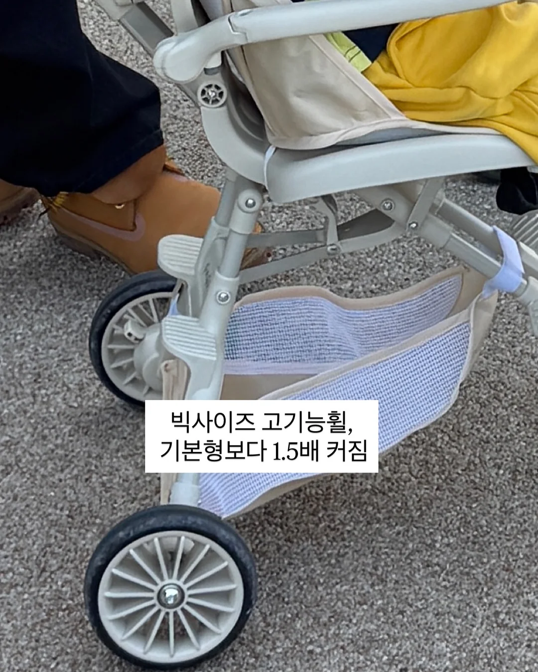 호래기 생멸치 꽁치 구성 8