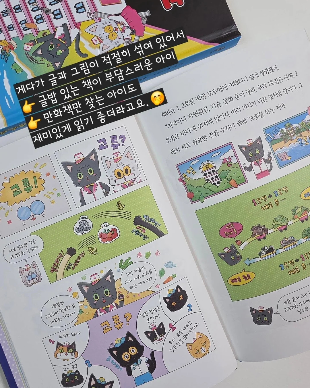 마르지엘라 피그먼트 반팔 12