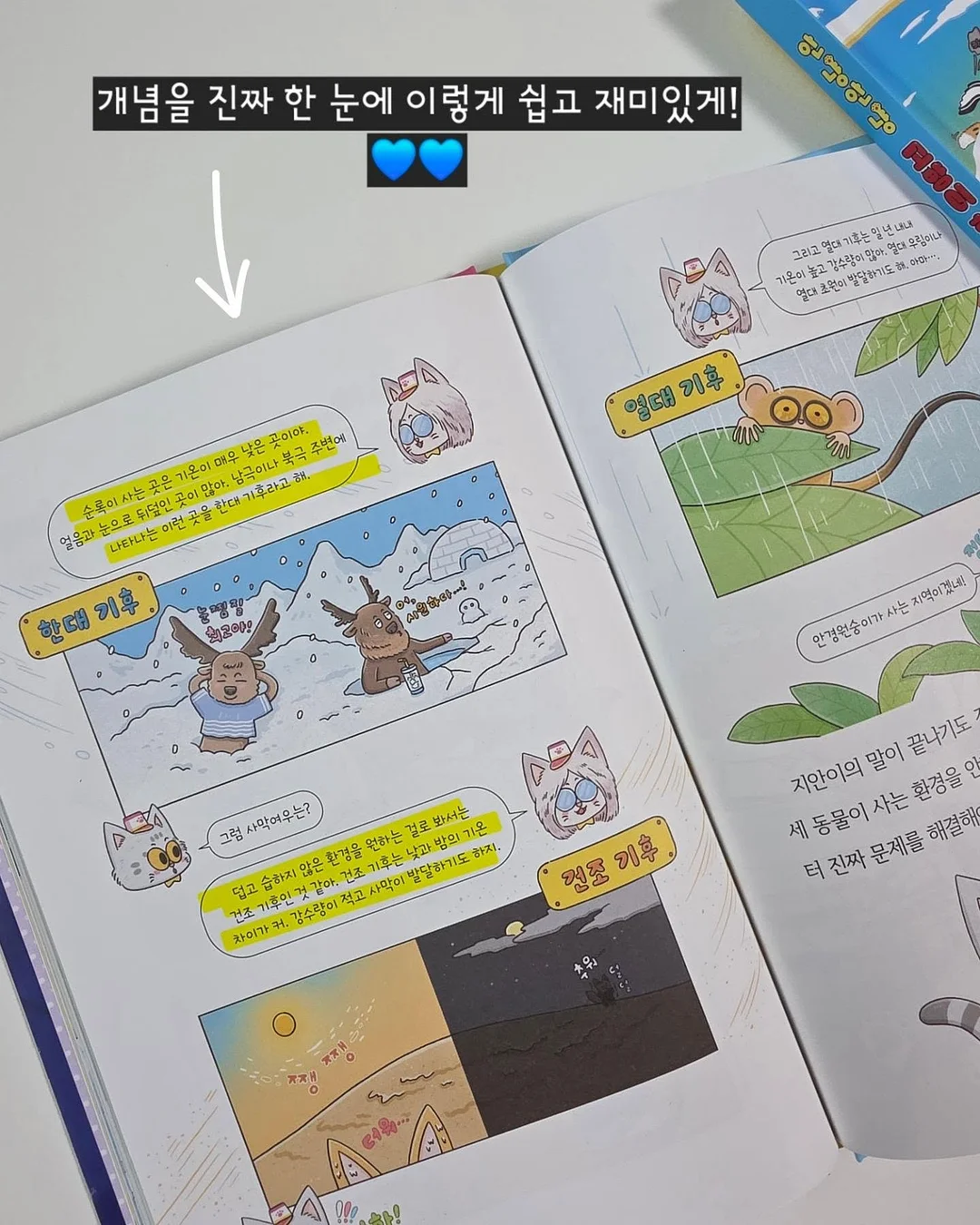 마르지엘라 피그먼트 반팔 16