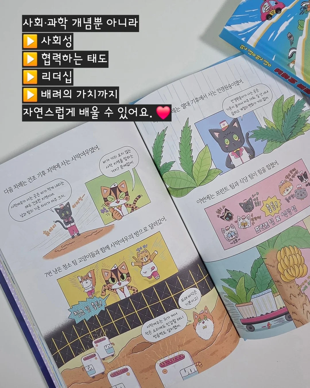 마르지엘라 피그먼트 반팔 18