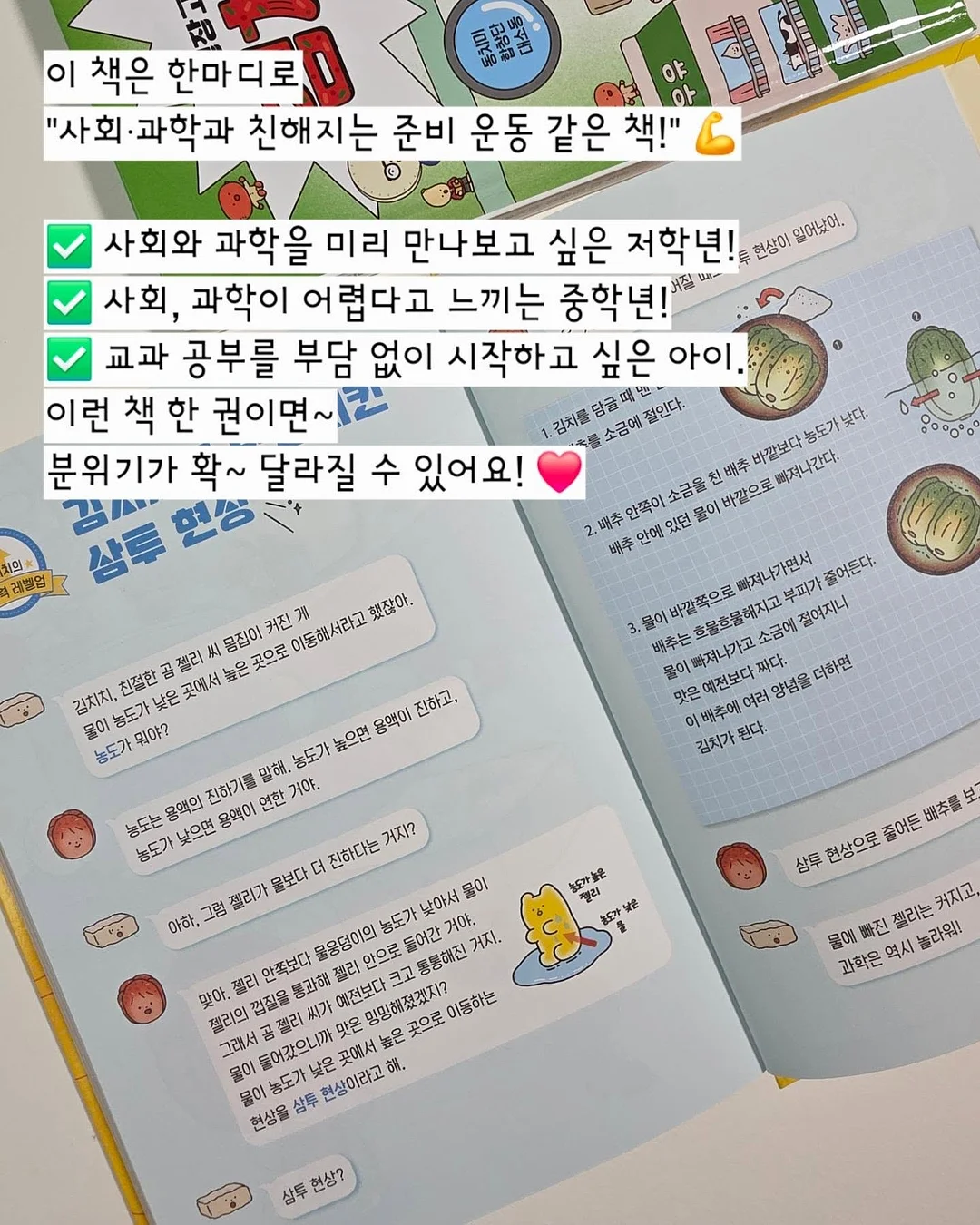 마르지엘라 피그먼트 반팔 19