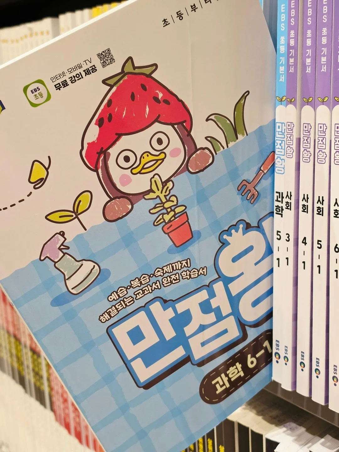 프렌즈마트 클립, 햄클 에폭시, 양면 케이스 6