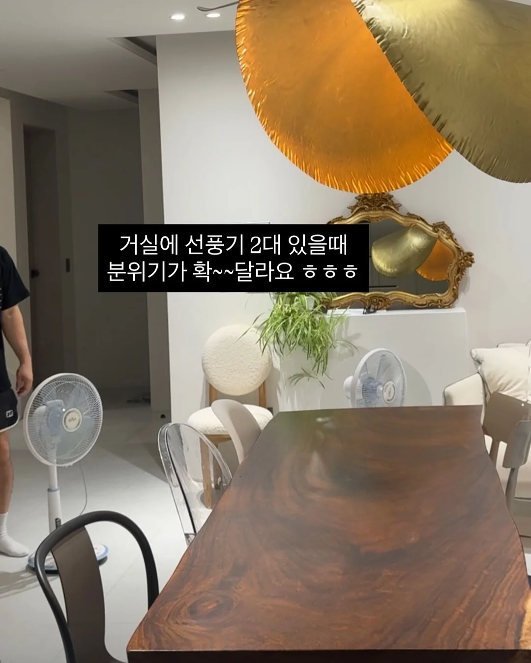 롤리킹 롯드 5