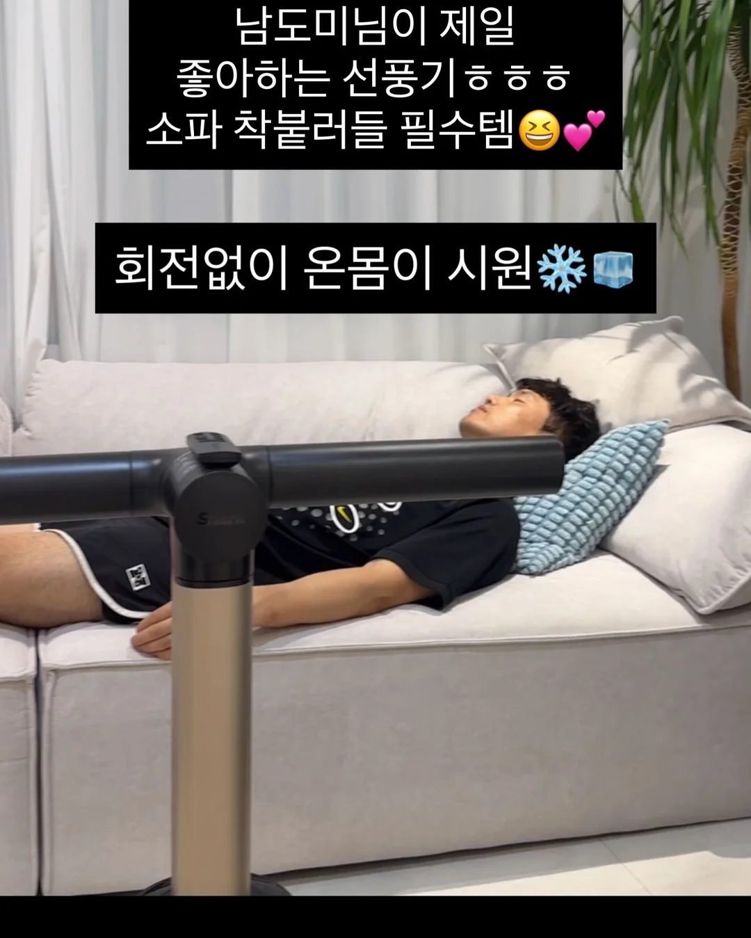 롤리킹 롯드 8