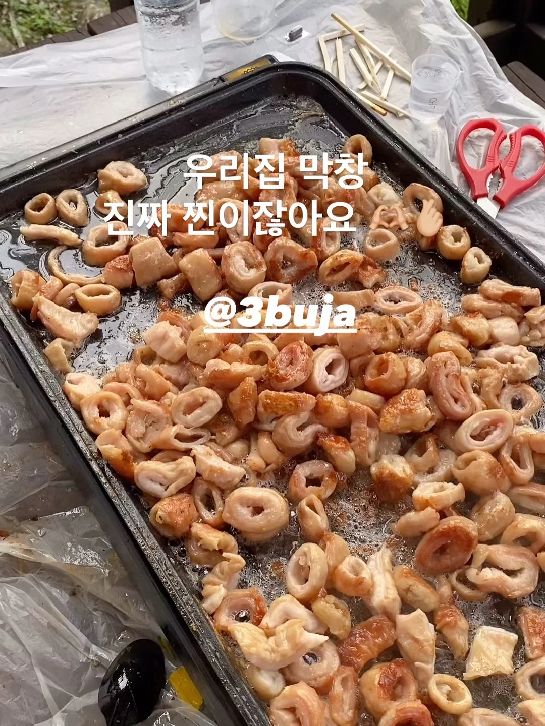 슈퍼젝션 디바이스 17