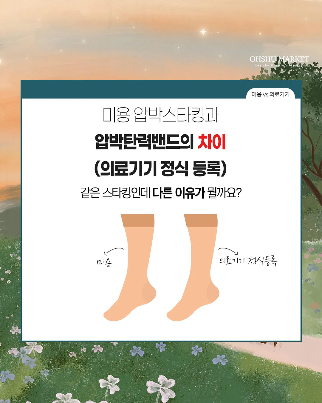 nua 여름 컬렉션 1