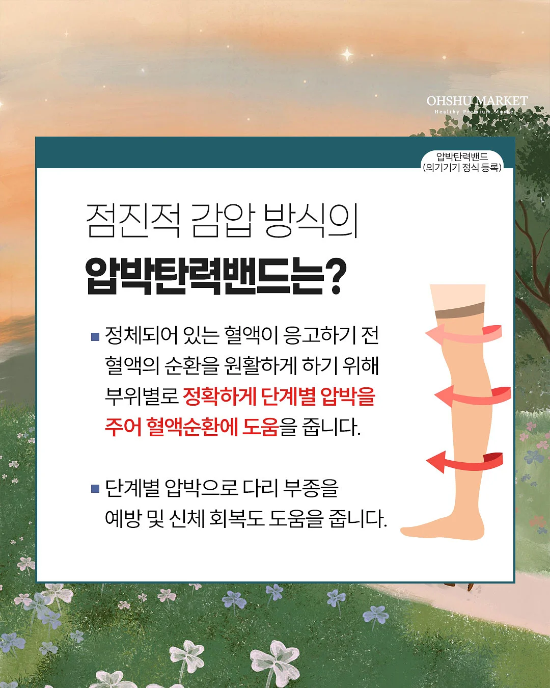 nua 여름 컬렉션 3