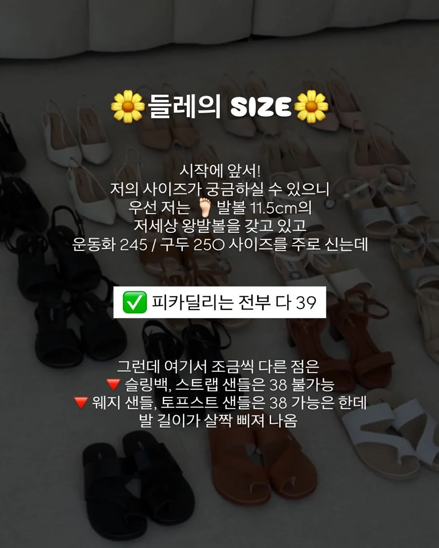 경영학과 수2 탐구 주제 자료집 12