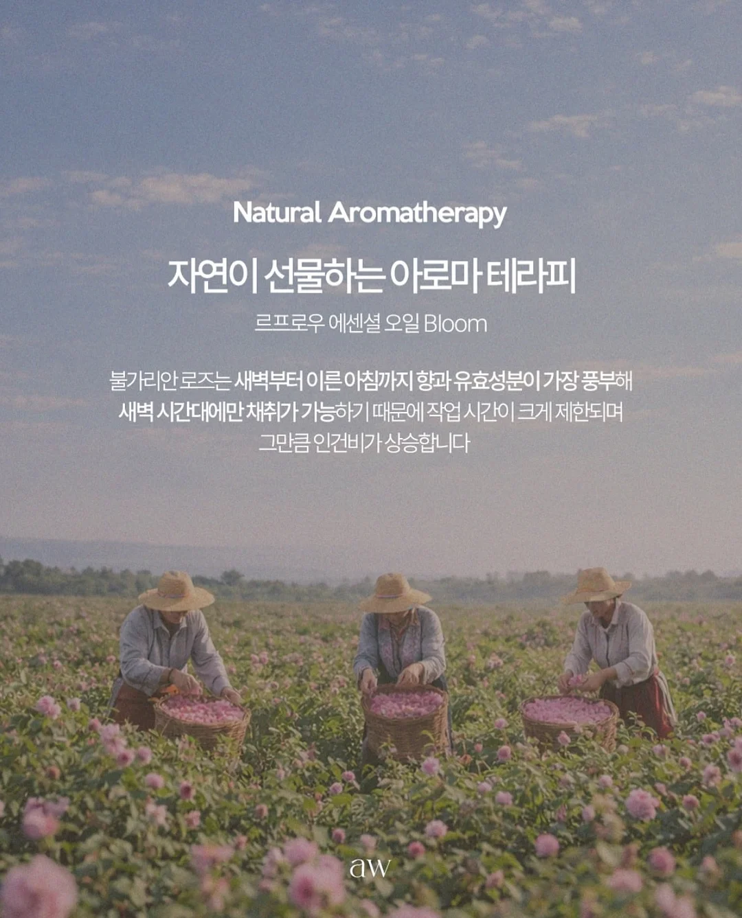 오뛰르 리치 & 청귤 핸드워시 3