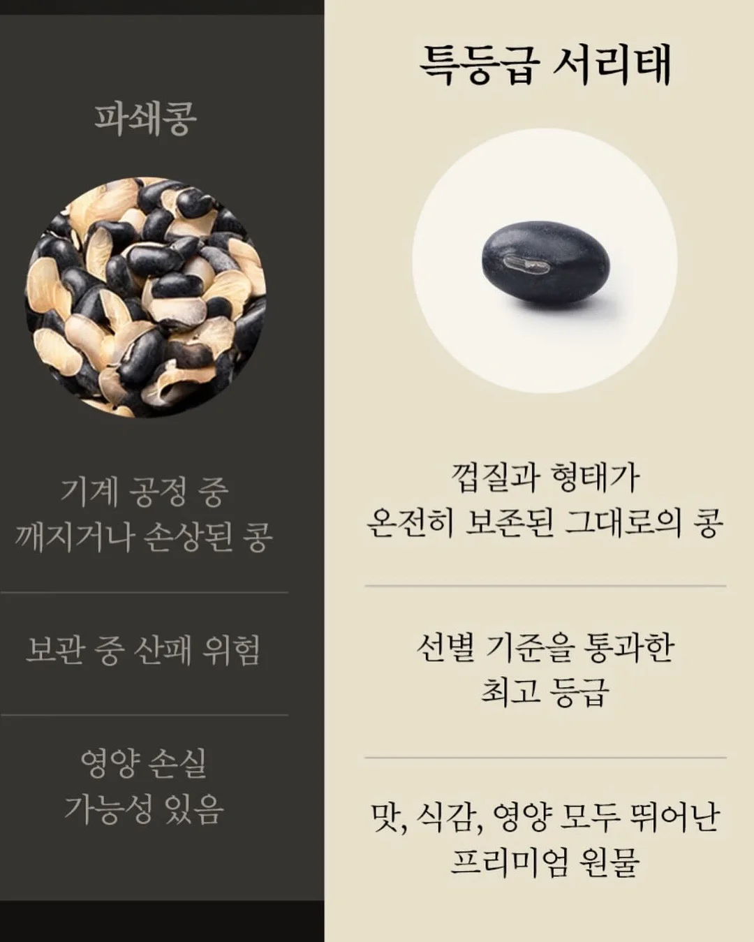 찐이야 유넥 9
