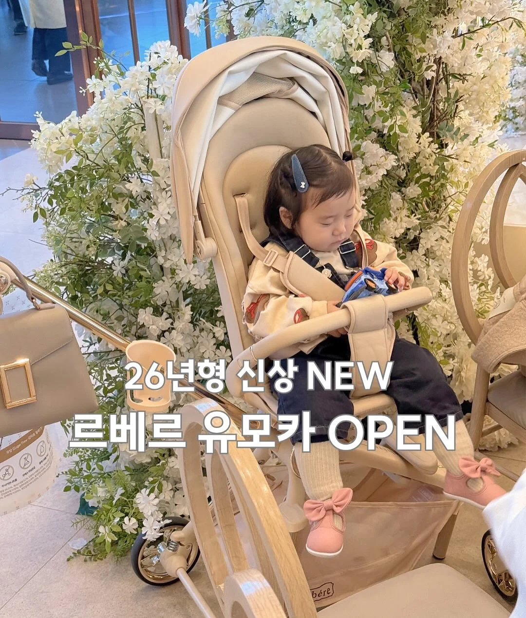 컷당솔루션 1