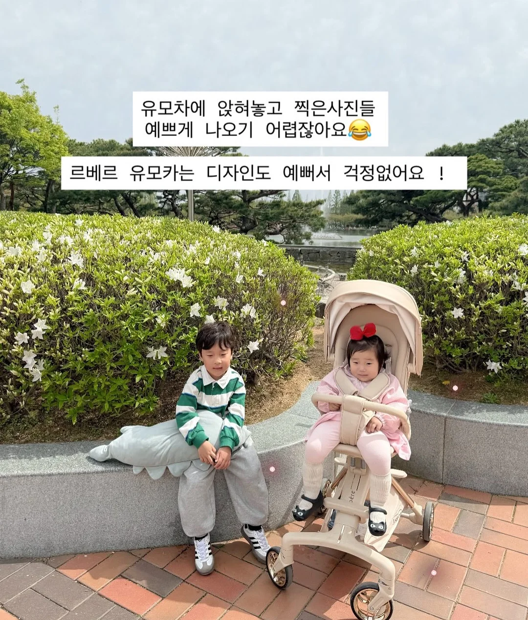 컷당솔루션 14