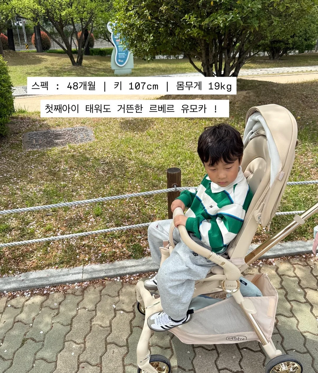 컷당솔루션 15