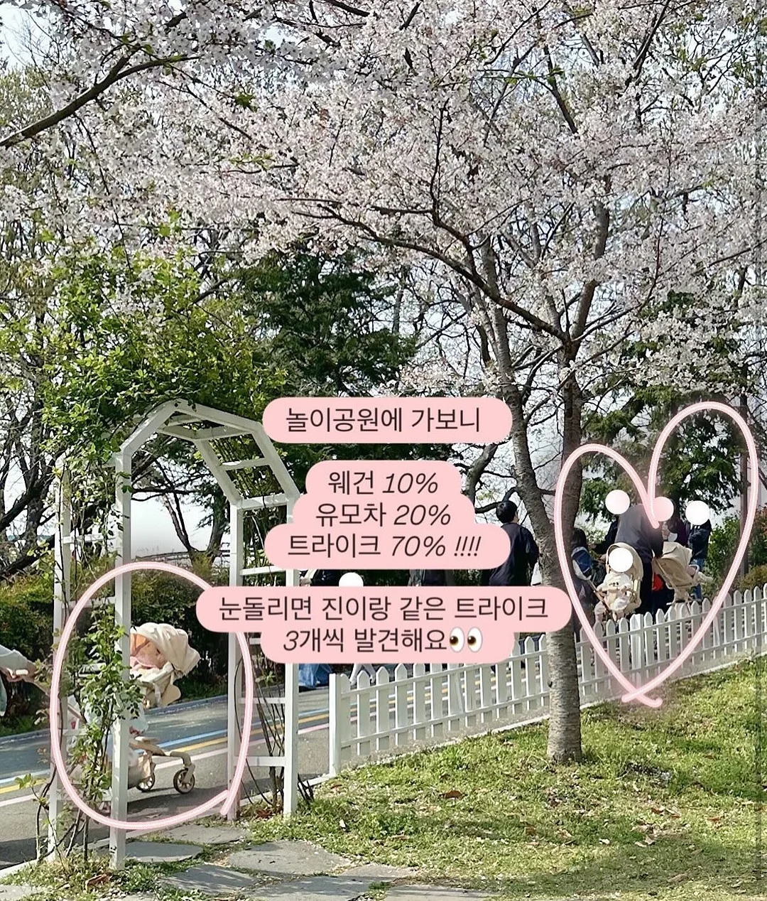 컷당솔루션 9