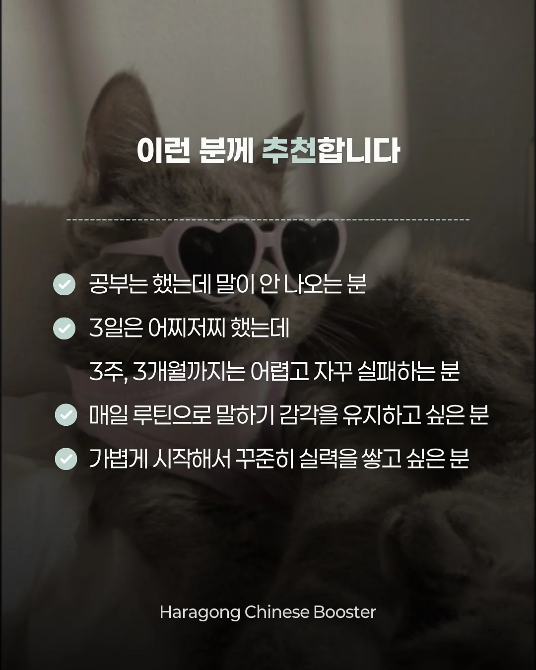 배수구 청소용품 8