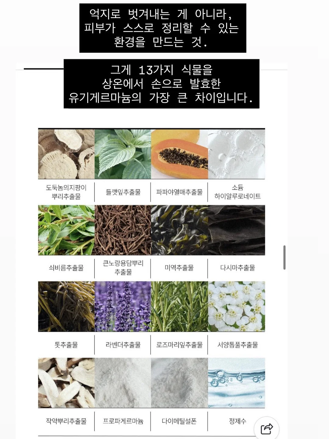 메디인랩 A3 앰플 14