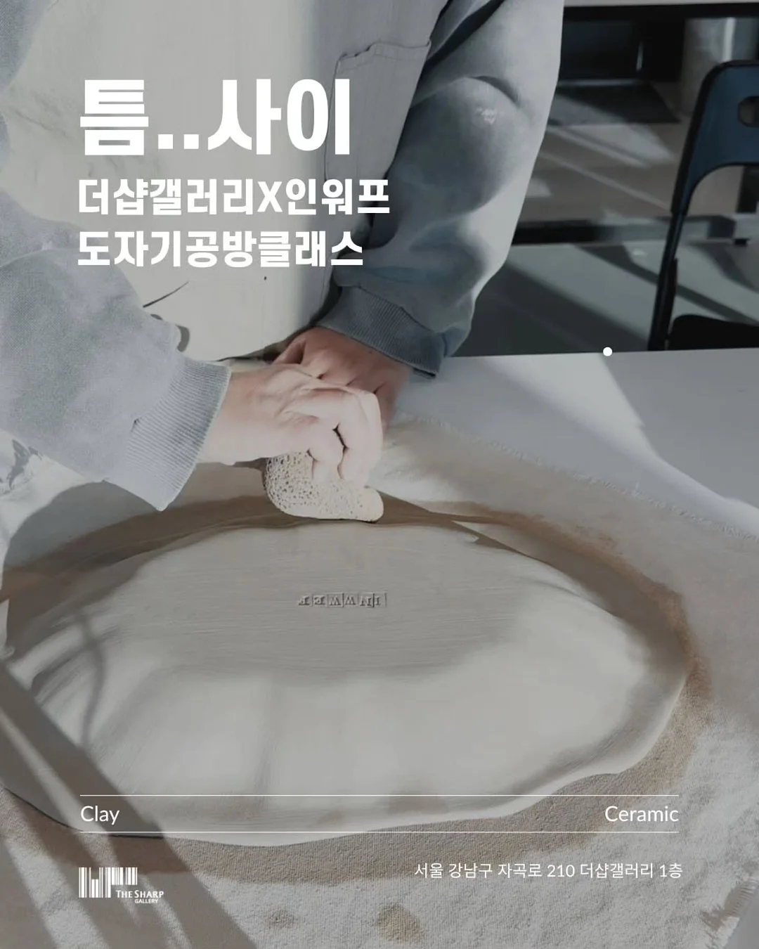 다알리아 1
