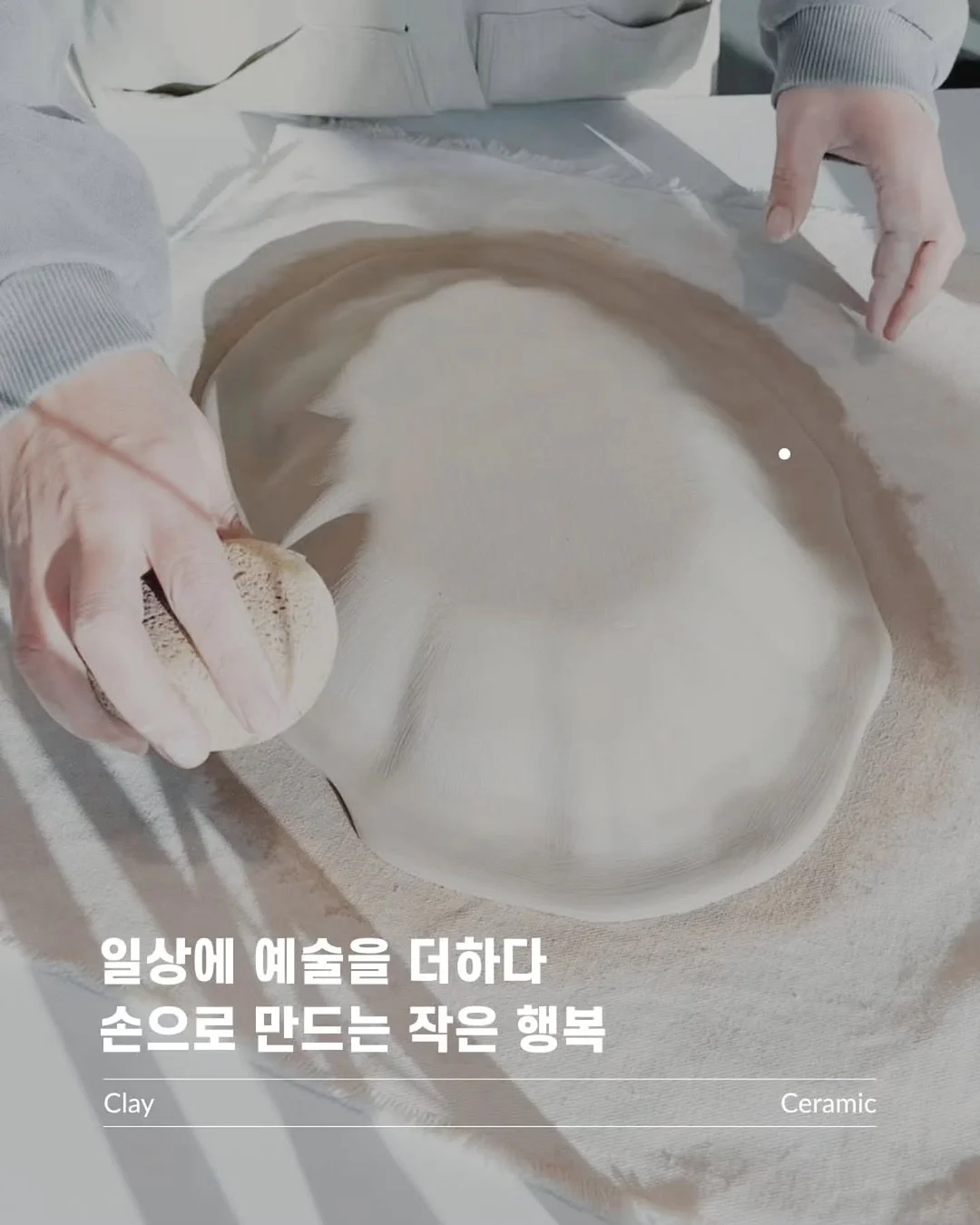 다알리아 3