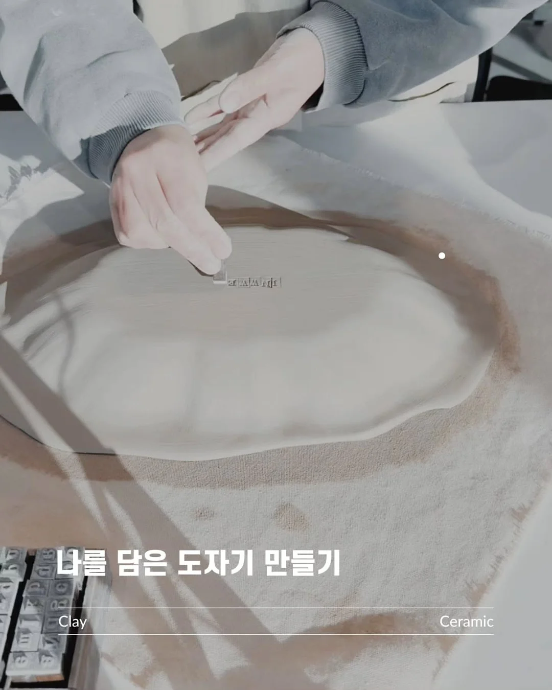 다알리아 4