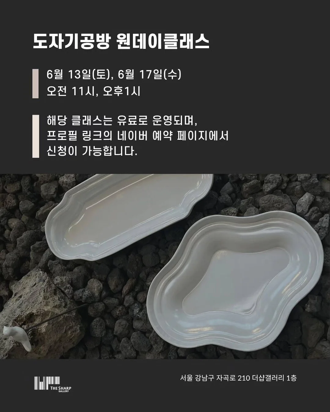 다알리아 6