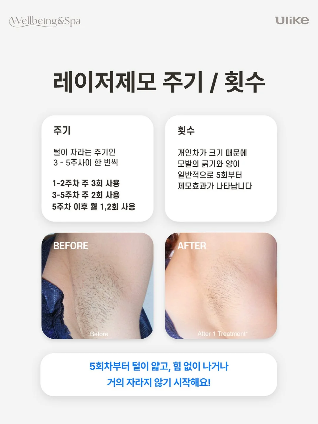 카레 레시피 10