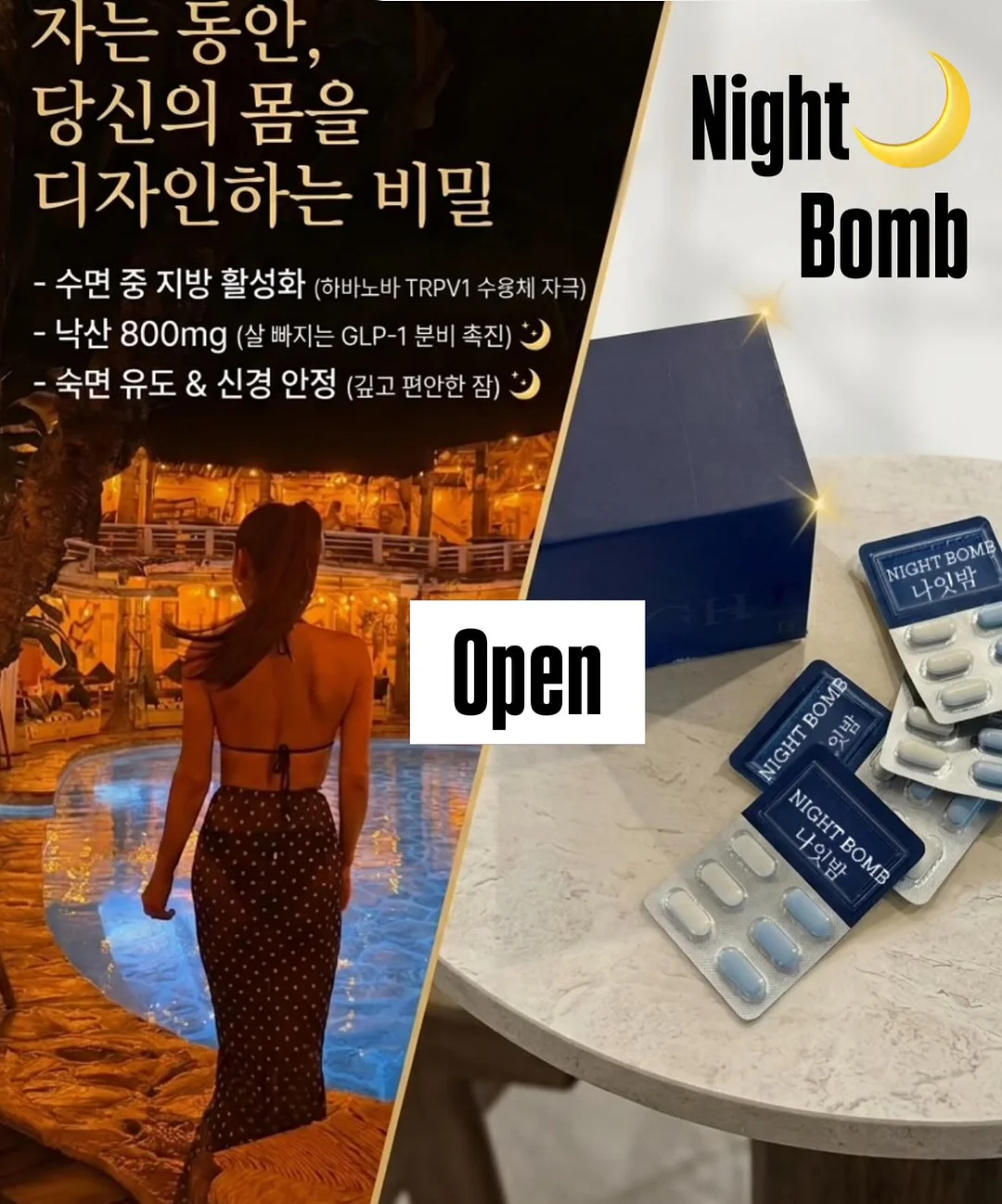 물개 머그컵 1