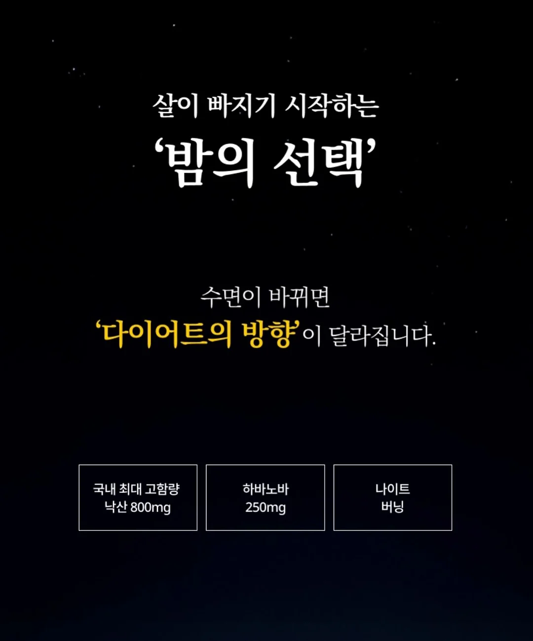 물개 머그컵 4