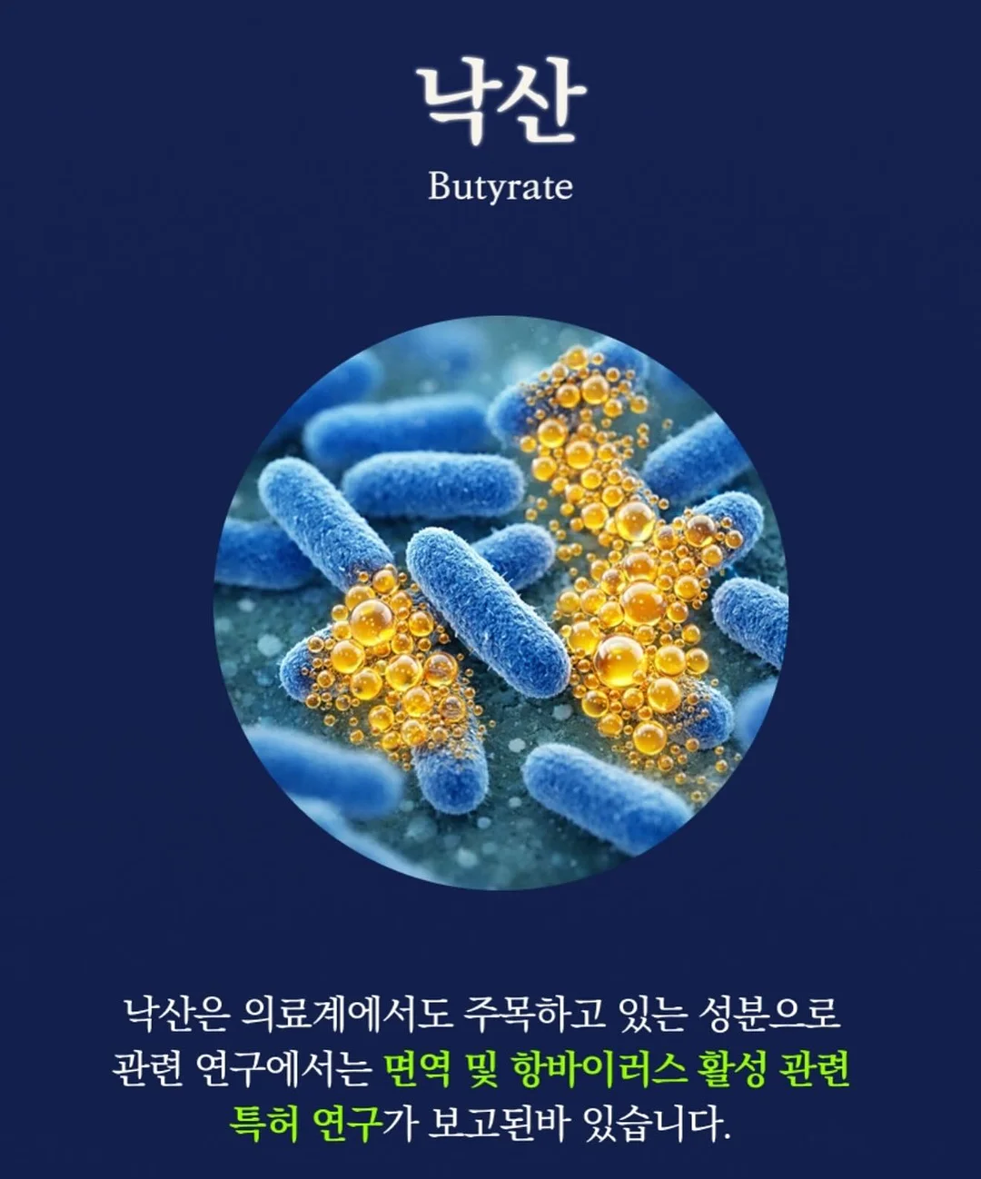 물개 머그컵 5