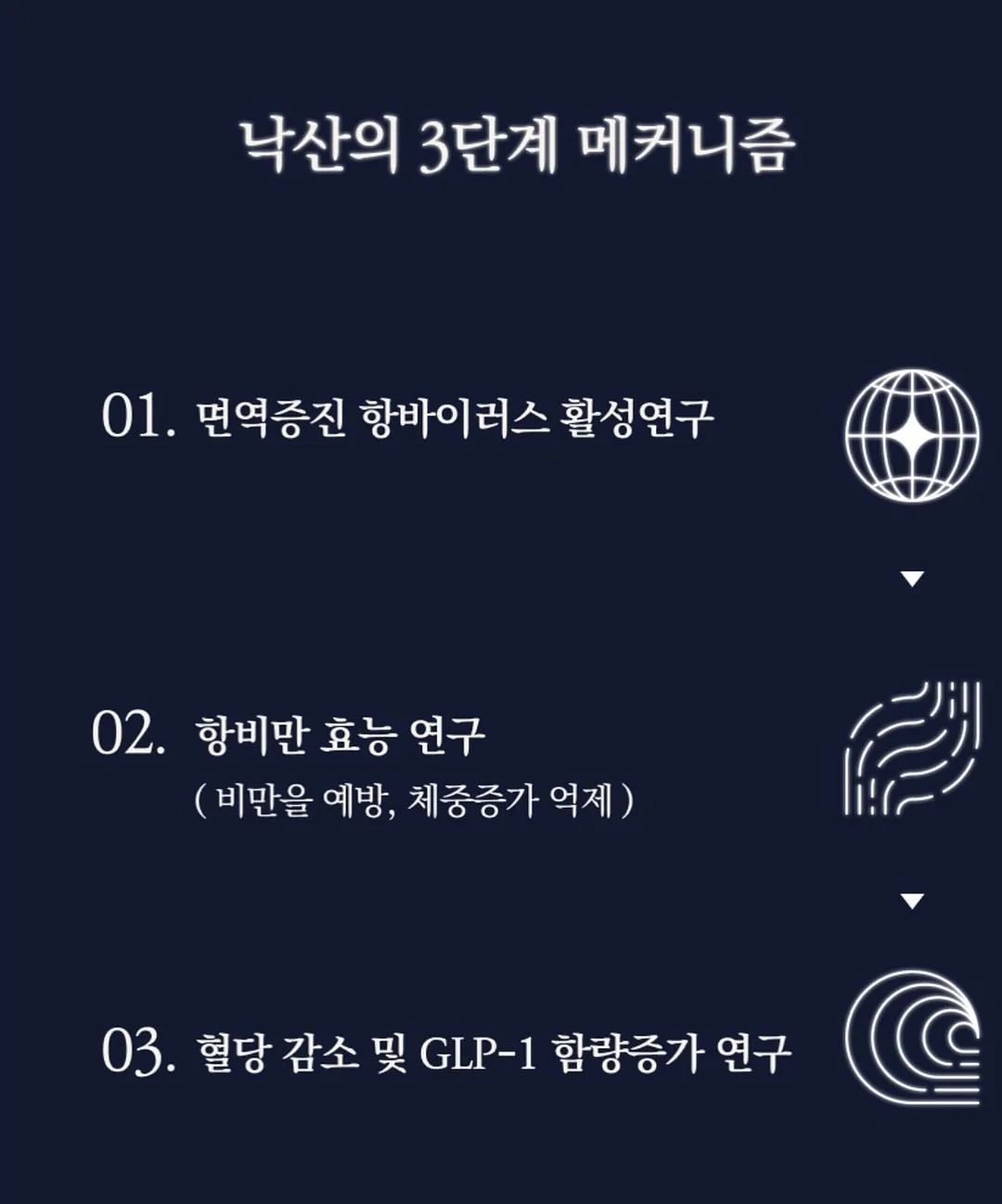 물개 머그컵 6