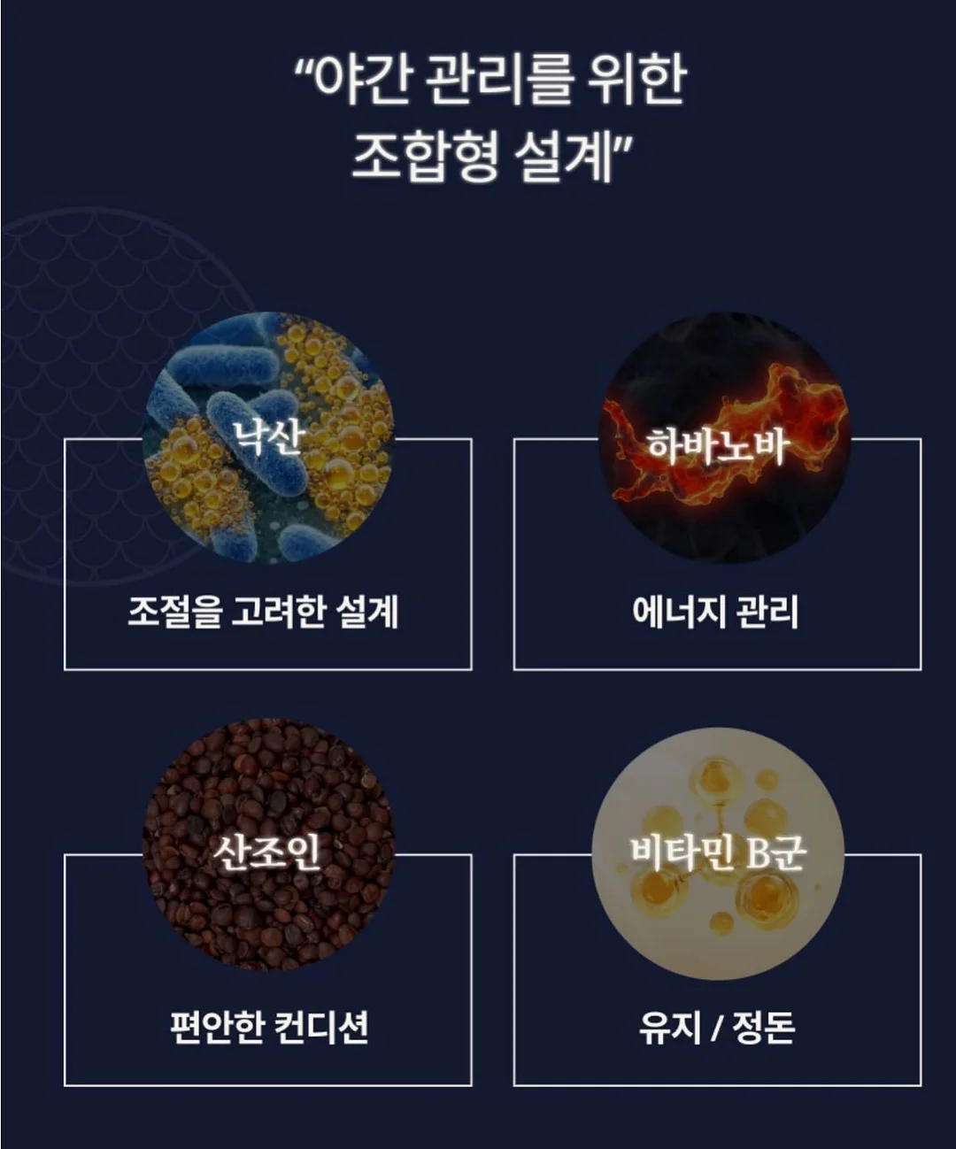 물개 머그컵 8