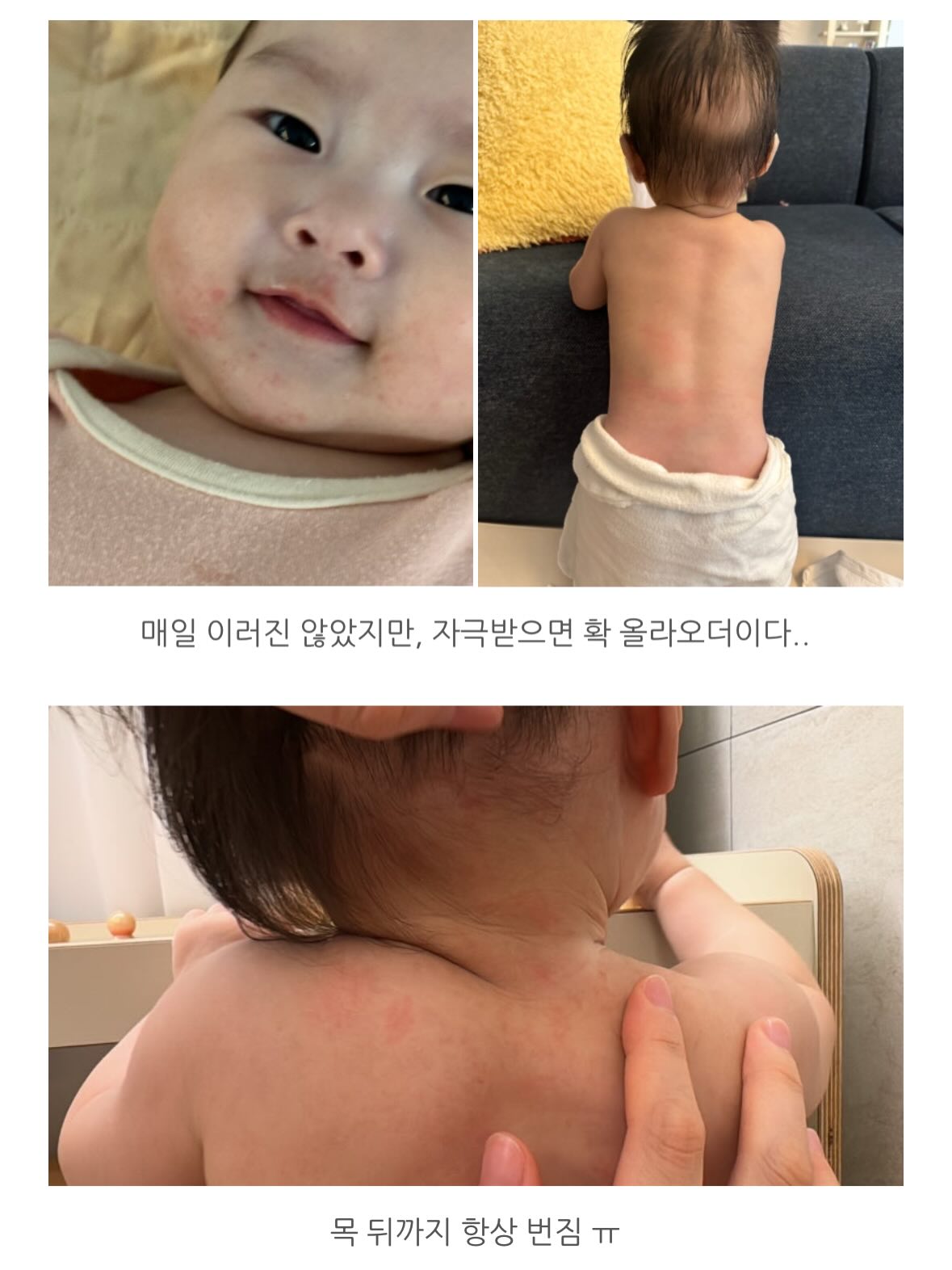 들기름 메밀면 레시피 2