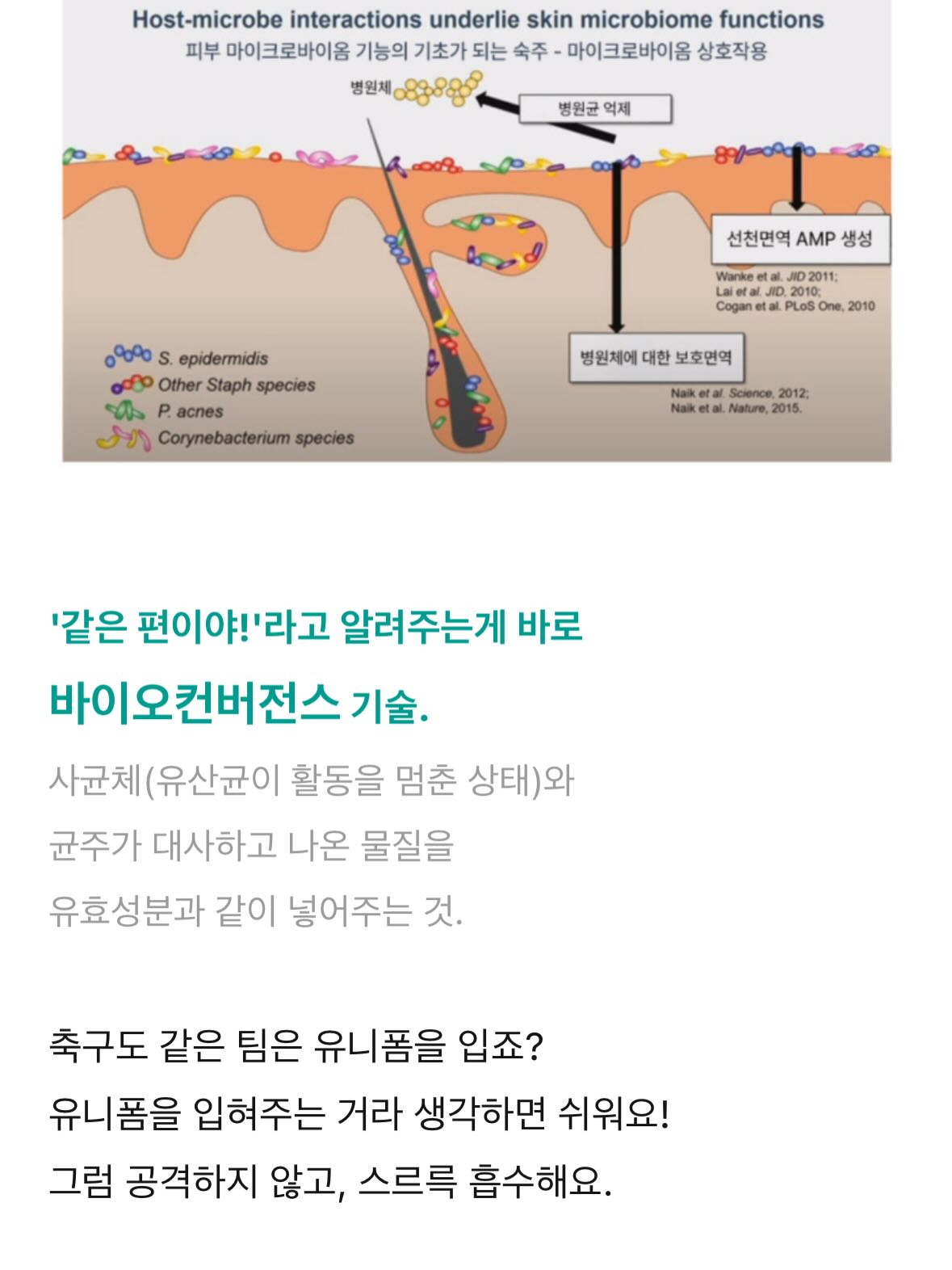 들기름 메밀면 레시피 15