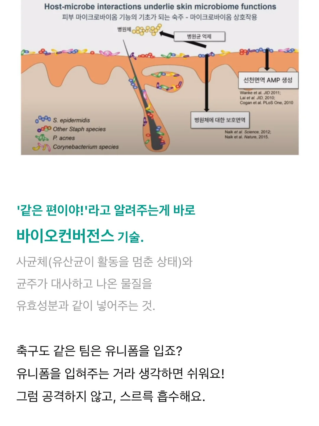 래쉬애딕트 15