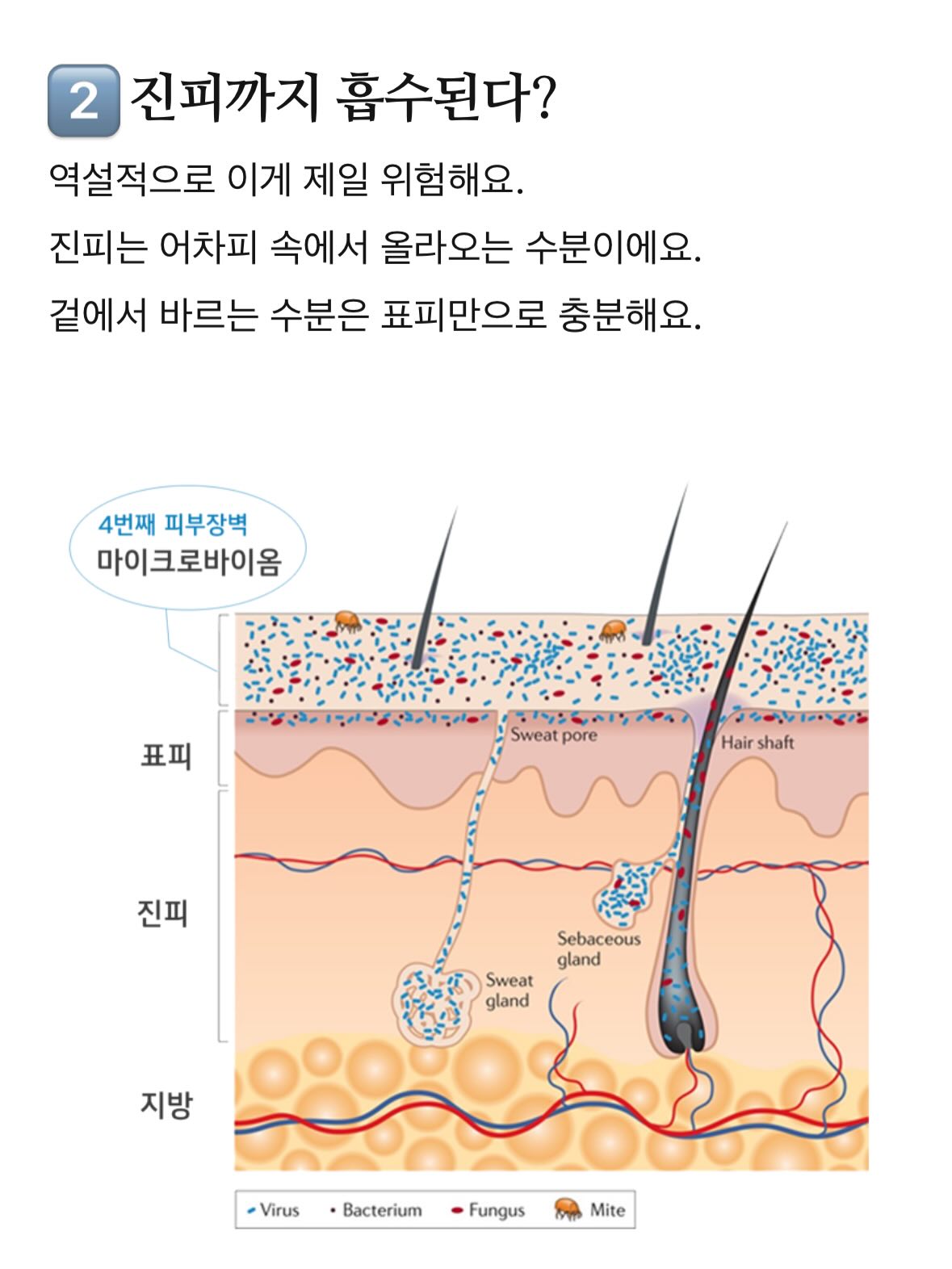 들기름 메밀면 레시피 7