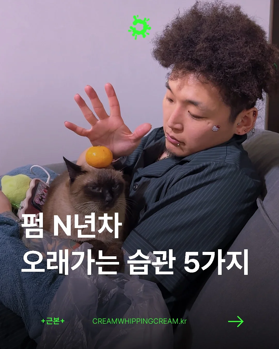 코스트코 아이스크림 1