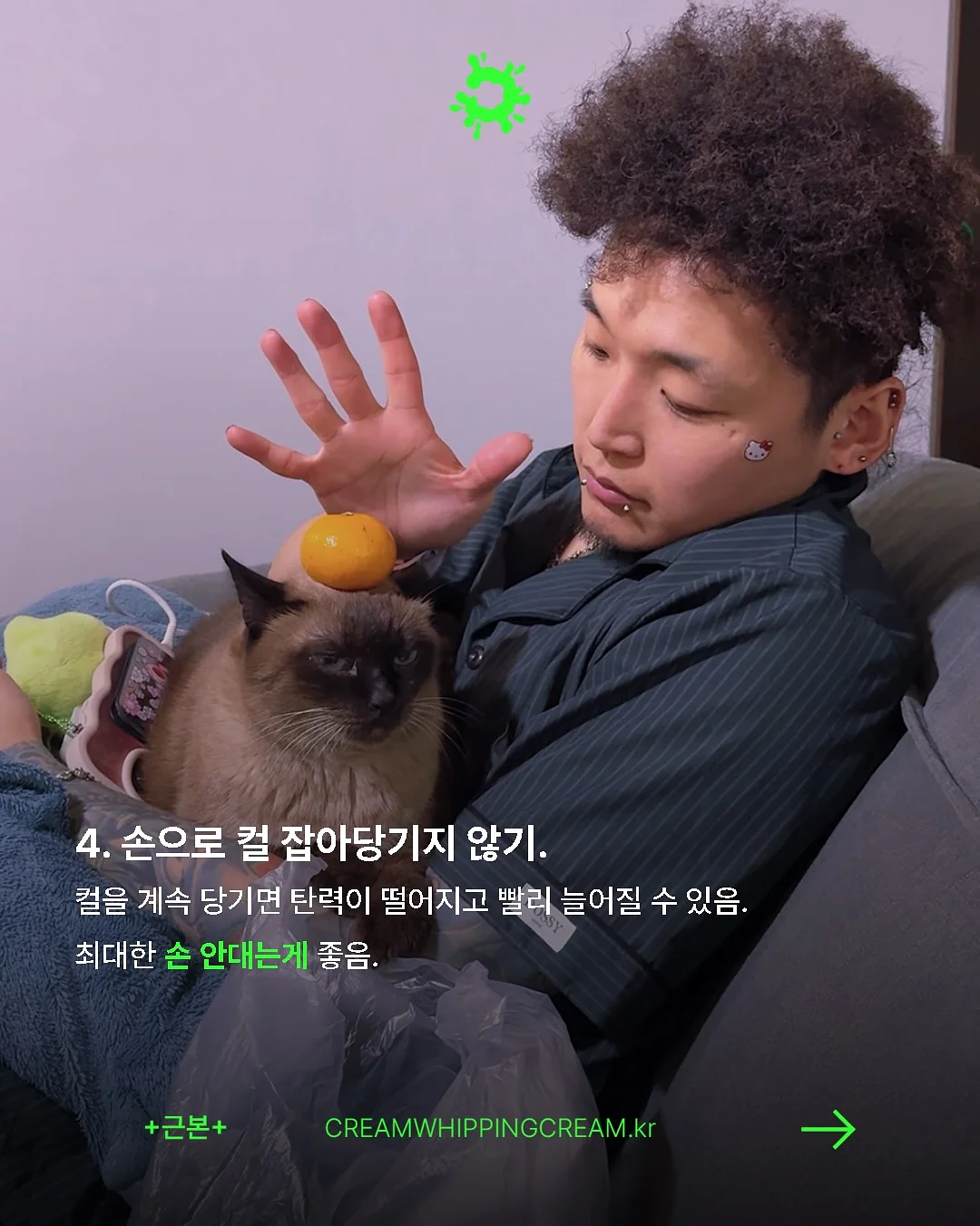코스트코 아이스크림 5