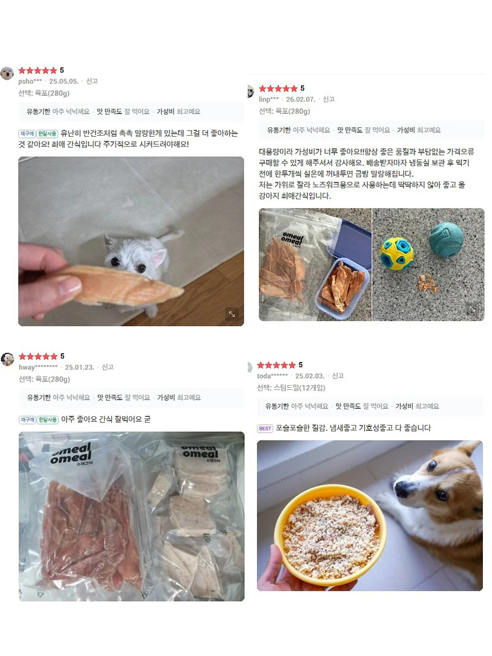 쿠션 6