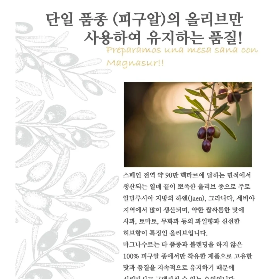 슈퍼세이브 곰보배추시럽 4