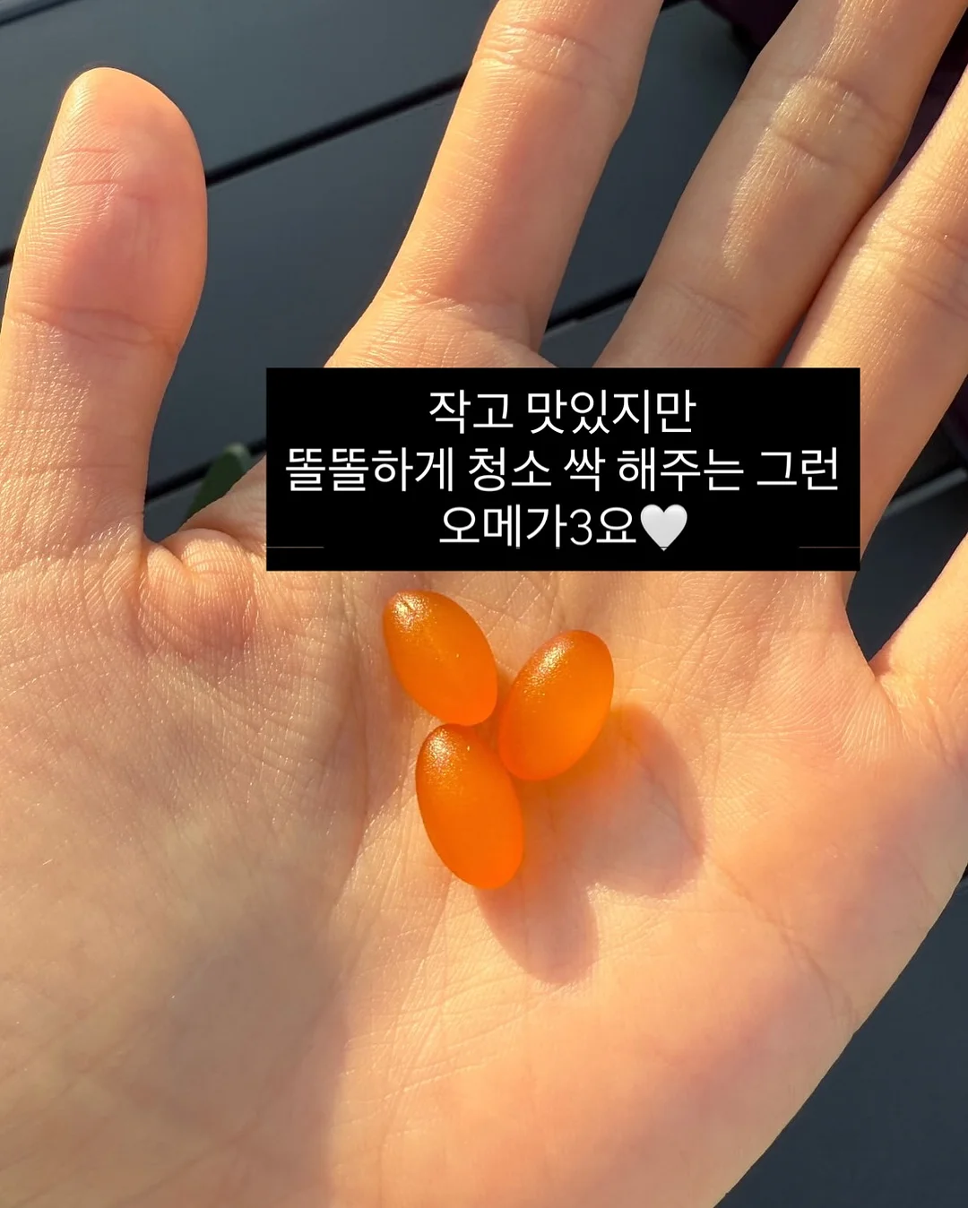 다이소 6공 바인더 및 리필 16